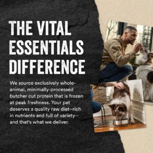 Vital Essentials Freeze Dried Raw Protein Mix-in Dog Food Topper, Salmon Mini Nibs Topper for Dogs, 6 oz