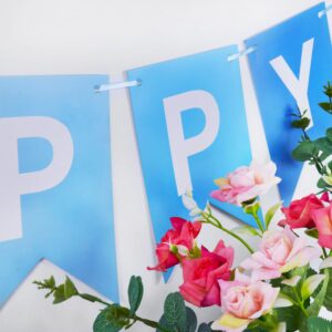 Eaezerav Happy Birthday Banner Blue Signs Happy Birthday Bunting Banner Garland for Baby Shower Gender Reveal Party Supplies for Boys Girls, Nursery Hanging Decoration Wall Backdrop