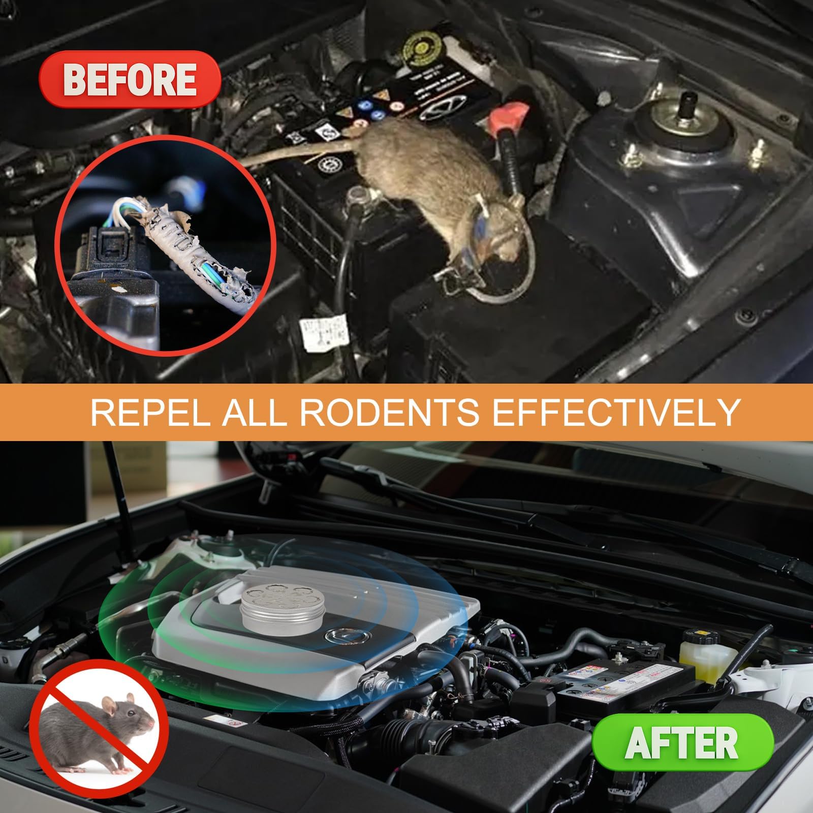 Dark Master Rodent Repellent for Car Engines, Mighty Peppermint Oil to Repel Mice and Rats,Environmentally Friendly and Humane Mouse Trap for Car Engines,House