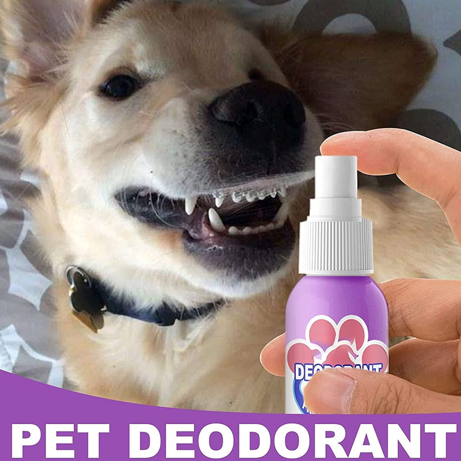 Petry Oral Spray, Petry Teeth Cleaning Spray for Dogs & Cats, Pet Breath Freshener Spray Care Cleaner 60ml, Pet Oral Spray Clean Teeth, Dog and Cat Natural Breath Freshener