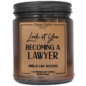 lawyer graduation gifts for women men | law office decor | college, law school graduation gifts | passing the bar exam gifts | look at you becoming a lawyer funny gifts |bamboo scented candle