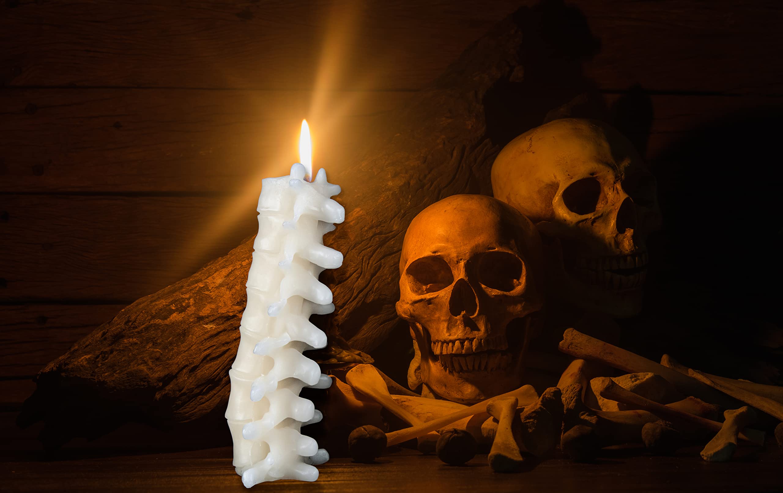 Kobi & Knight Spine Candle - Sandalwood Vanilla Scented Creepy Candles for Gothic Decor Gift - Ivory Spooky Vertebra Candle - Goth Decoration for Halloween - Large 8" Witchy Candle