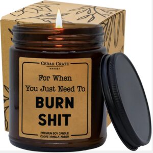 for when you just need to burn s - funny candle, funny sarcastic novelty gift for friends, coworkers, boss, employee, adults -birthday gift for mom, sister, bff, gag gifts for women, long distance