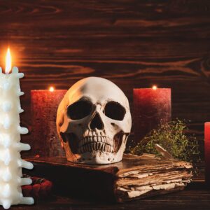 Kobi & Knight Spine Candle - Sandalwood Vanilla Scented Creepy Candles for Gothic Decor Gift - Ivory Spooky Vertebra Candle - Goth Decoration for Halloween - Large 8" Witchy Candle