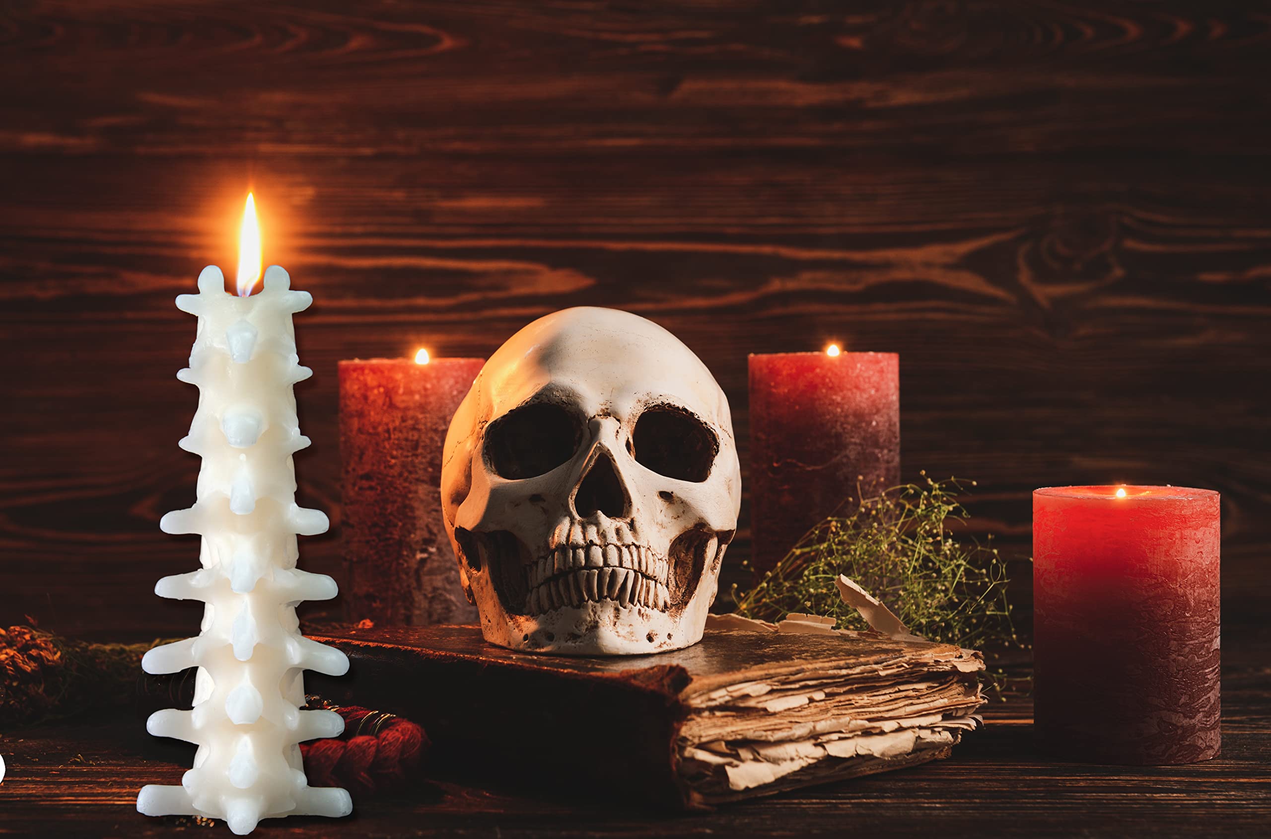 Kobi & Knight Spine Candle - Sandalwood Vanilla Scented Creepy Candles for Gothic Decor Gift - Ivory Spooky Vertebra Candle - Goth Decoration for Halloween - Large 8" Witchy Candle