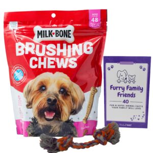 Milk-Bone Brushing Chews Dental Dog Treats - Mini Snacks for Small Breeds (48 Count) - Plus Rope Toy and Fun Animal Facts Booklet Bundle