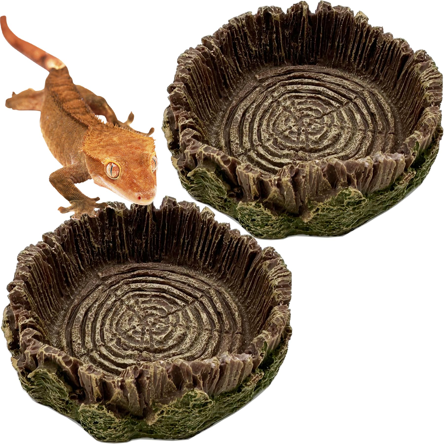 Small Reptile Food Dish, 2 Pack Reptile Feeding Food Bowls for Bearded Dragon Gecko Lizard Frog Hermit Crab Snail Toad