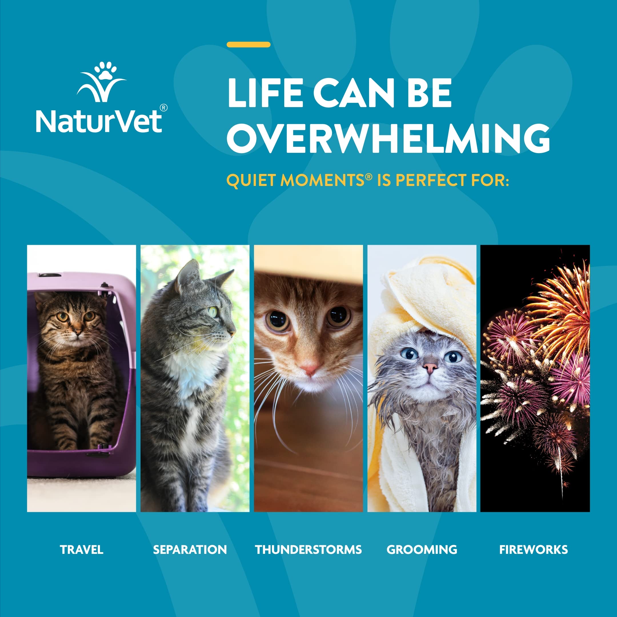 NaturVet Scoopables Quiet Moments Cat Calming Aid - Promotes Calm with Stressful Events Storms, Fireworks, Travel, Separation Anxiety - Cat Health Supplement w/Melatonin - Salmon Flavored | 5.5oz Bag