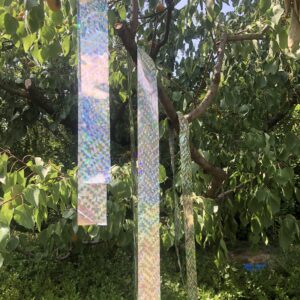 Bird Scare Ribbon Double Sided Holographic Reflective Ribbon Tape to Keep Away Woodpecker, Pigeon, Hawks, Grackles Bird (1.9in x 360ft)