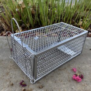 Live Humane Cage Mouse Trap Rat Catch Control Bait Hunting Survival for Indoor and Outdoor,Small Rodent Animal-Mice Voles Hamsters Cage (4.5x11x5.8 inch)