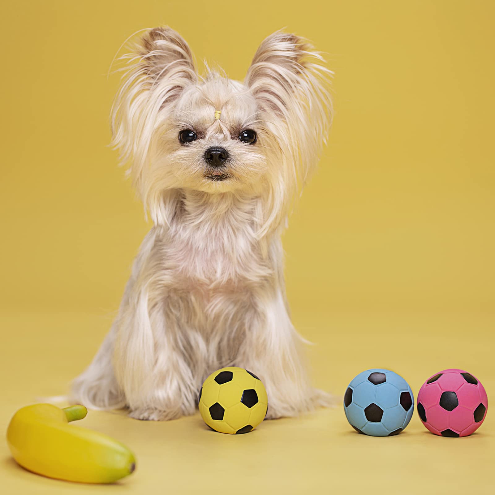 Pawdoer Squeaky Dog Ball - Soft Latex Rubber Squeaky Dog Toys for Small Dogs Puppies - Cute Bounce Dog Squeak Toys Play Fetch Football Soccer Ball