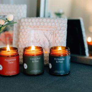 Fontana Candle Company - Cinnamon Orange Clove | Lightly Scented Candle | Made from Beeswax and Coconut Oil | Essential Oil | Wood Wick | Long Lasting | Clean Burn and Non Toxic