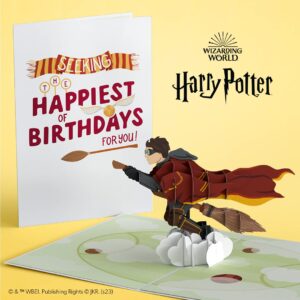 Lovepop Harry Potter Seeker Birthday Pop-Up Card, 5” X 7”, Greeting Card for Son, Daughter or Friend, 3D Card with Envelope