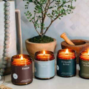 Fontana Candle Company - Cinnamon Orange Clove | Lightly Scented Candle | Made from Beeswax and Coconut Oil | Essential Oil | Wood Wick | Long Lasting | Clean Burn and Non Toxic