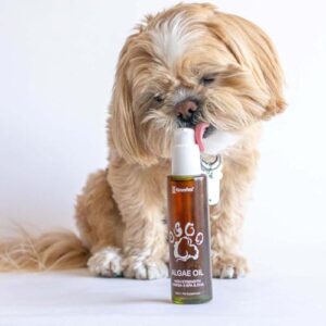 Kōrure Pets Dog Omega-3 Algae Oil - Sustainable and Natural Pet Supplement - Fish Oil Alternative