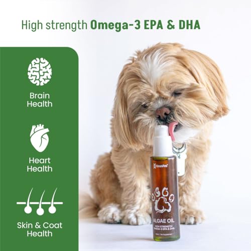 Kōrure Pets Dog Omega-3 Algae Oil - Sustainable and Natural Pet Supplement - Fish Oil Alternative