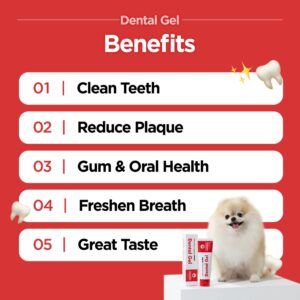 JAYU PET Dental Gel - Dog Cat Toothpaste, Removing Plaque and Tartar, Teeth Cleaning & Breath Freshener, Puppy Kitten Dental Care with Vet Approved (2.82oz. 80g)