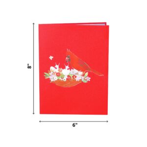 PQ Bees Pop Up Birthday Card for Women Mom Grandma Wife | 3D Mothers Day Valentines Day Christmas Card for Women Aunt Sister Wife, Friend Birthday Cards (Size 8x6 In - Cardinal Nest).