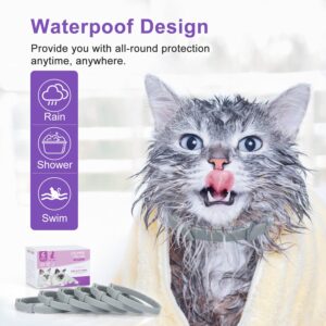 Anipaw Calming Collar for Cats 6 Pack Cat Calming Collar Relaxing Cat Pheromone Collar Adjustable Breakaway Design for Small Medium Large Cats Kitten Peeing Relieve Anxiety and Stress(Grey)