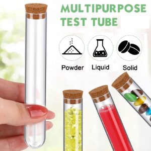 Hoteam 200 Pcs Clear Plastic Test Tubes with Cork Stoppers 10ml Small Test Tubes with Lids Plastic Bottles Plant Propagation Tubes for Seal and Storage Jewelry Seed Bead Powder, Lab Use or Decoration