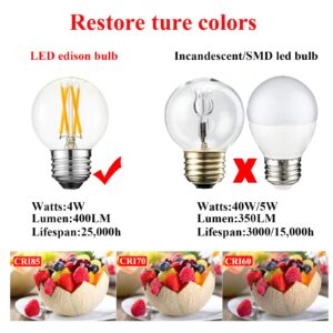 Arberlic G16.5 Light Bulb LED,4W E26 LED Bulb dimmable Equivalent E26 40 watt Light Bulb,Warm White 2700K,400lm,CRI85+,AC120V,Edison Style,Clear Glass,Flicker Free,Pack of 6