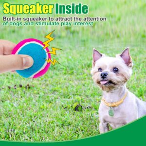 EXPAWLORER Squeaky Tennis Balls for Dogs-12 Pack High Elastic Dog Balls for Aggressive Chewers,Interactive Dog Chew Toys for Training, Fetching, Chewing, Playing for Dogs Christmas Toys