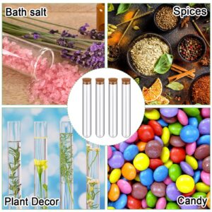 Hoteam 200 Pcs Clear Plastic Test Tubes with Cork Stoppers 10ml Small Test Tubes with Lids Plastic Bottles Plant Propagation Tubes for Seal and Storage Jewelry Seed Bead Powder, Lab Use or Decoration