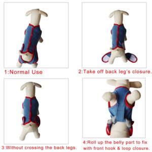 JoyDaog 2Pcs Dog Surgery Recovery Suit Substitute E-Collar & Cone,Recovery Onesie Puppy Surgical,Cat Recovery Shirt Dog Wounds Bandages Prevent Licking Dog,S