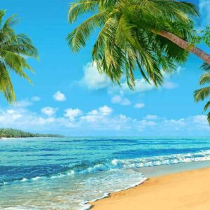 Summer Tropical Hawaii Palm Tree Or Beach Photography Backdrops Blue Sea Sky Sunshine Luau Party Photo Background Wedding Bride Shower Baby Birthday Party Banner Supplies Props 8x6ft