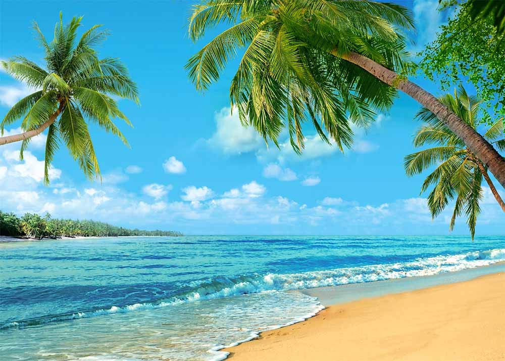 Summer Tropical Hawaii Palm Tree Or Beach Photography Backdrops Blue Sea Sky Sunshine Luau Party Photo Background Wedding Bride Shower Baby Birthday Party Banner Supplies Props 8x6ft