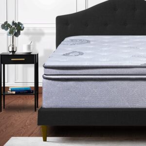 Greaton 13" Plush Foam Encased Mattress with Pillow Top, Soft and Comfortable Bed Mattresses for Complete Body Support and Maintain Correct Posture, Fully Assembled Bedding, Grey, Queen