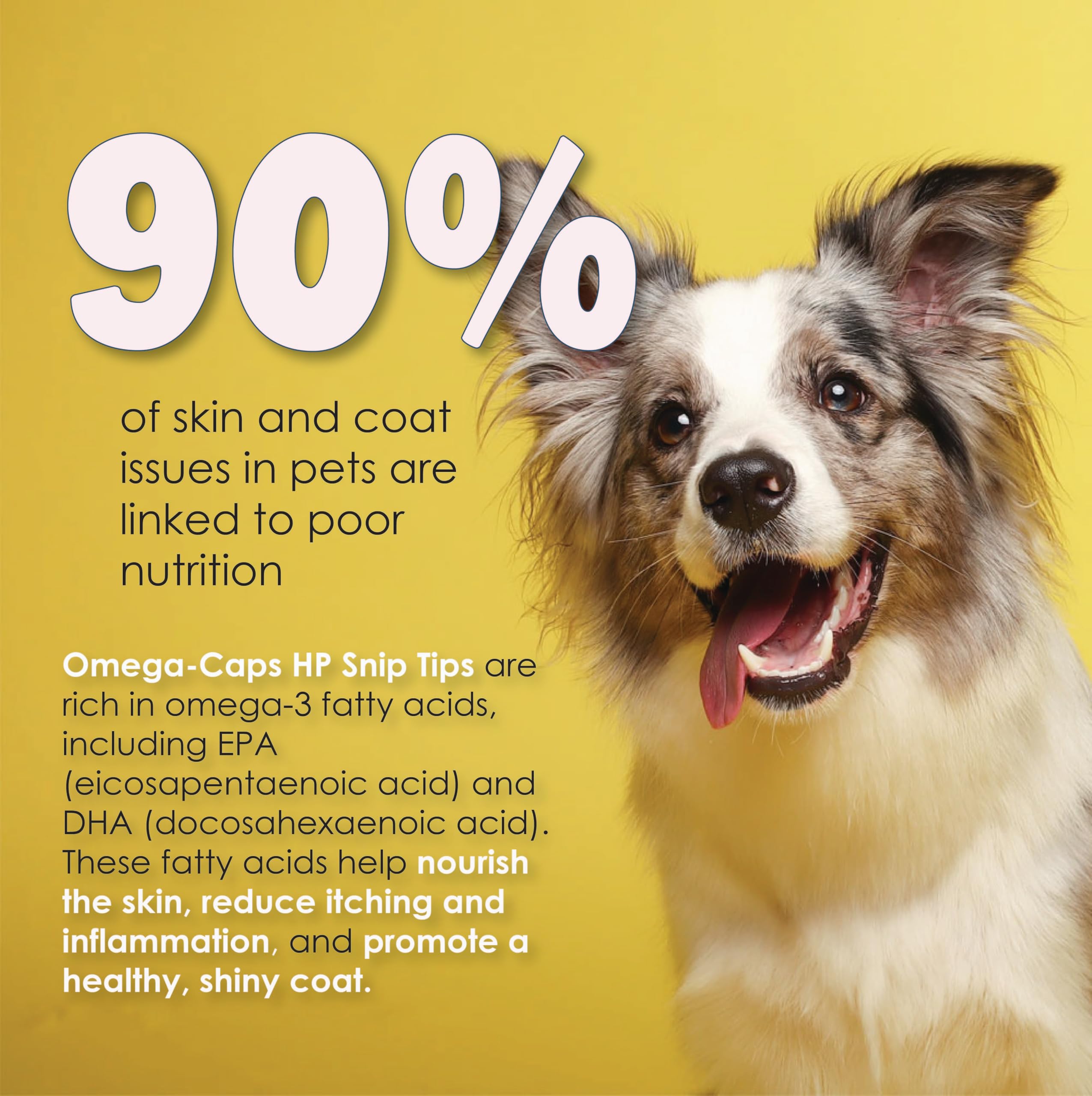 Omega-Caps Extra Strength Liquid for Cats & Dogs. Vet Formulated for Healthy Radiant Skin & Coat, Reduces Excess Shedding. Contains EPA, DHA, & Omega 3 for Joint, Heart & Immune System Support. 16 OZ.