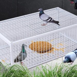 Big Foldable Galvanised Pigeon Dove Bird Trap Cage Feral Pigeon Humane Way with The one-Way Entrance Trapping Pigeons Doves in Cages (40x40x26 4Entrance)