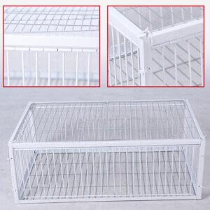 Big Foldable Galvanised Pigeon Dove Bird Trap Cage Feral Pigeon Humane Way with The one-Way Entrance Trapping Pigeons Doves in Cages (40x40x26 4Entrance)