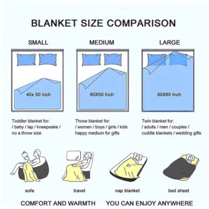 MIBDDK Cute Airplane Blanket Throw Aircraft Blankets for Kids Toddler Boys Adults Gifts Bedding Decor Bed Bedroom 50"X40"