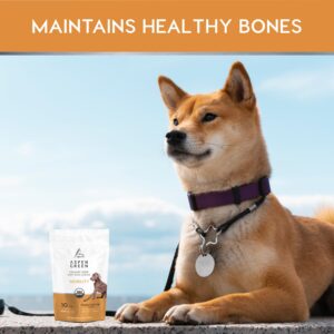 Aspen Green USDA Certified Organic Hemp Hip and Joint Chews for Dogs (Mobility) - Soft Dog Joint Supplement - (10mg Organic Hemp per 4g Chew - 30 Hemp Treats for Dogs per Bag) - Peanut Butter Flavor