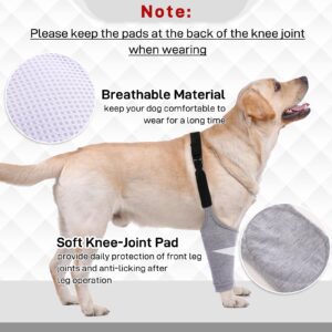 Dog Recovery Suit Front Legs, Dog Recovery Sleeve After Surgery with Elastic Band, Protective Elbow Protector for Medium Large Dogs, Dog Cone Alternative to Stop Licking Leg Wounds,Grey,XL