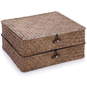 hipiwe woven wicker basket bins with lid - set of 2 flat seagrass storage baskets boxes rectangular shelf baskets home organizer bin for shelf organizing (large size, coffee)