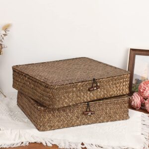 Hipiwe Woven Wicker Basket Bins with Lid - Set of 2 FLat Seagrass Storage Baskets Boxes Rectangular Shelf Baskets Home Organizer Bin for Shelf Organizing (Large Size, Coffee)