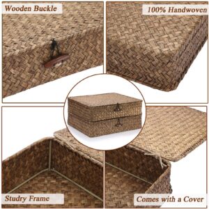 Hipiwe Woven Wicker Basket Bins with Lid - Set of 2 FLat Seagrass Storage Baskets Boxes Rectangular Shelf Baskets Home Organizer Bin for Shelf Organizing (Large Size, Coffee)