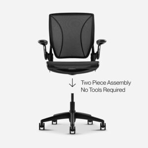 World One Ergonomic Desk Chair for Home Office, Height Adjustable Rolling Chairs for Desks, Black Mesh Office Chair with Built in Lumbar Support, Office Task Chair for Men Women…