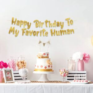 Happy Birthday To My Favorite Human - Funny Birthday Gold Glitter Banner – Birthday Party Supplies, Ideas, Gifts and Decorations