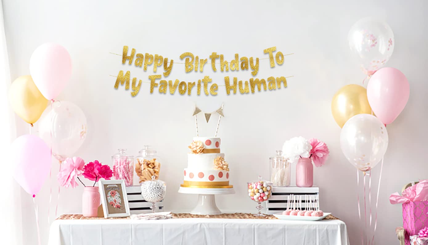 Happy Birthday To My Favorite Human - Funny Birthday Gold Glitter Banner – Birthday Party Supplies, Ideas, Gifts and Decorations