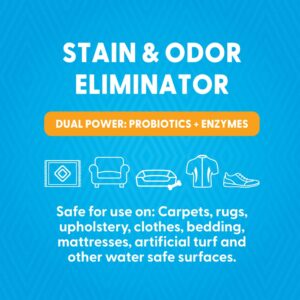 Origin Labs OdorFx Pet Stain and Odor Remover for Pet Stains and Odors, Fragrance Free Rug, Upholstery, and Carpet Cleaner Solution, Probiotics and Enzyme Cleaner Spray No Harsh Chemicals, 32 Fl Oz