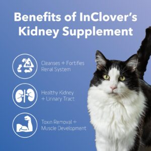 InClover Natural Kidney Support Supplement for Cats & Dogs (BioRen) - Bladder & Urinary Tract Health with L-Carnitine & Resveratrol - Supports Renal Function - Combats Formation of Crystals and Stones