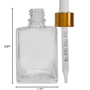 BEGIKET 12 Pack 1 oz Clear Square Glass Dropper Bottle with Measured Eye Dropper, 1oz 30ml Square Essential Oils Dropper Bottle for Perfumes, Liquids, Hair and Body Oils