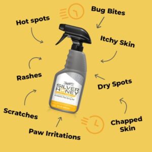 Absorbine Silver Honey Hot Spot & Wound Care 2oz Ointment + 8oz Spray Gel, Manuka Honey & MicroSilver BG, Medicated for Dogs, Cats, Small Animals