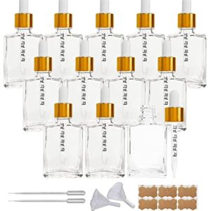 BEGIKET 12 Pack 1 oz Clear Square Glass Dropper Bottle with Measured Eye Dropper, 1oz 30ml Square Essential Oils Dropper Bottle for Perfumes, Liquids, Hair and Body Oils