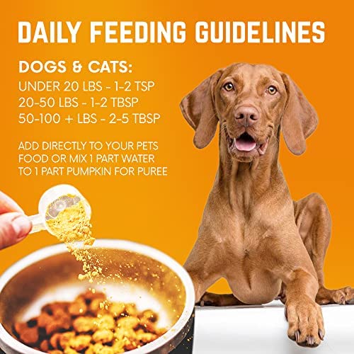 BACK 40 Dogs Pumpkin Powder for Dogs, Powdered Pumpkin for Dogs with Vitamins A, C & E, Fiber-Rich Vitamins for Optimal Pet Health, Combat Constipation, Dog Multivitamin for Digestive Health, 8.1 oz