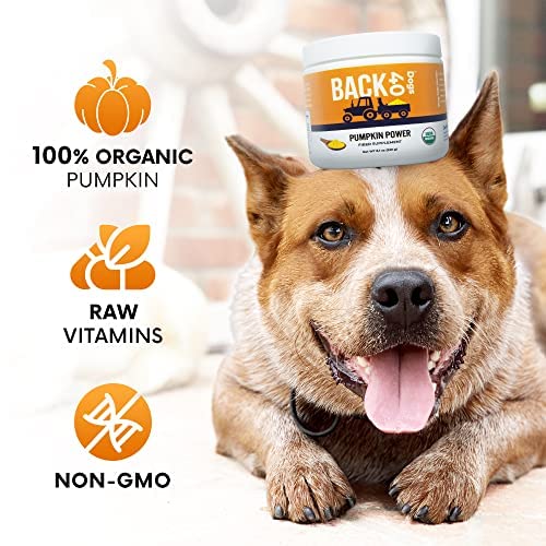 BACK 40 Dogs Pumpkin Powder for Dogs, Powdered Pumpkin for Dogs with Vitamins A, C & E, Fiber-Rich Vitamins for Optimal Pet Health, Combat Constipation, Dog Multivitamin for Digestive Health, 8.1 oz